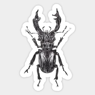 Stag beetle new Sticker